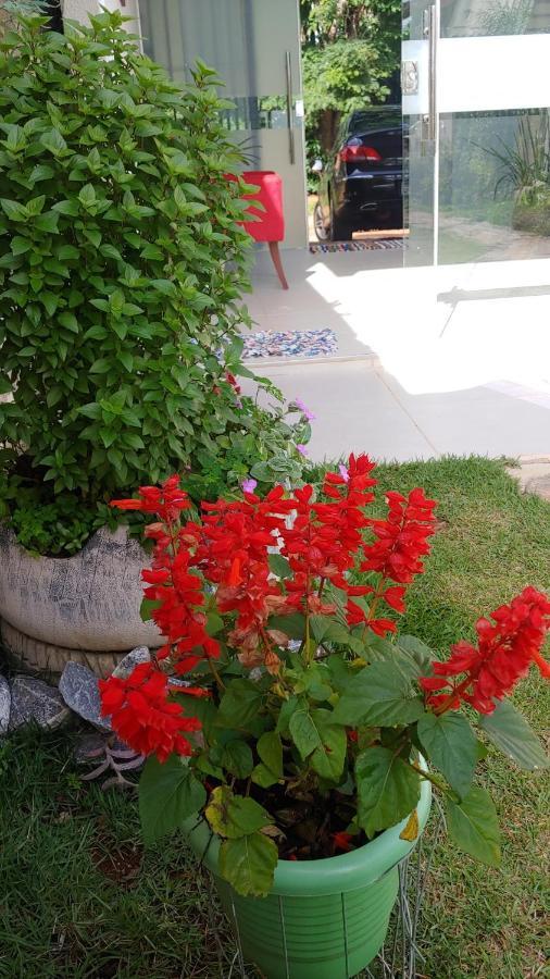 Hotel Casal Ostara Begonia Alto Paraíso de Goiás Exterior foto